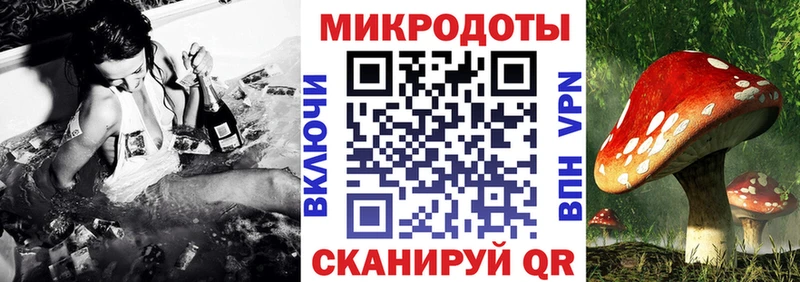 Галлюциногенные грибы ЛСД Салаир