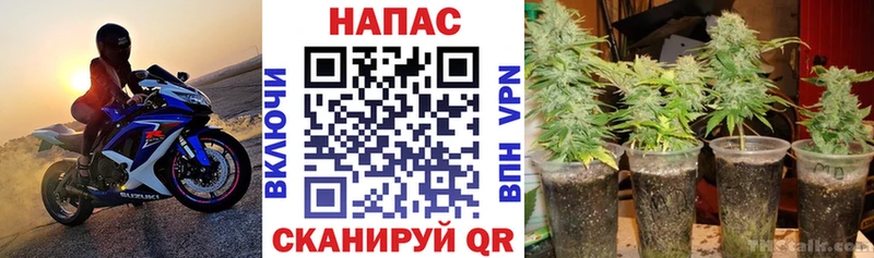 MEGA маркетплейс  Салаир  Конопля SATIVA & INDICA 